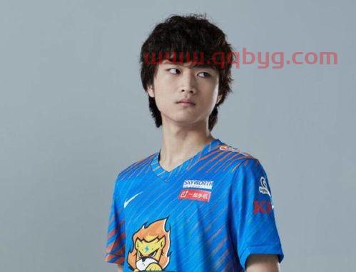 季后赛lpl规则（季后赛几支队伍lpl）