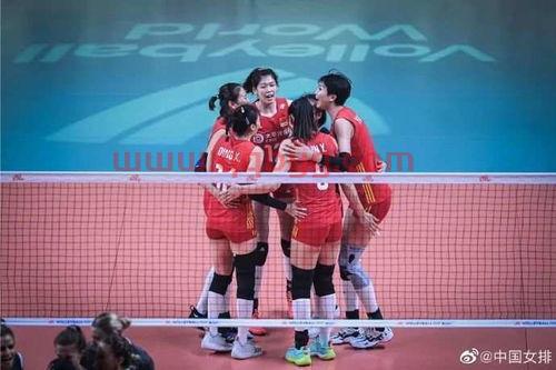 中国女排对战美国女排首发（中国女排对阵美国女排,为中国姑娘加油!）