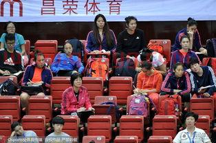 中国女排观摩赛（看中国女排排球赛）
