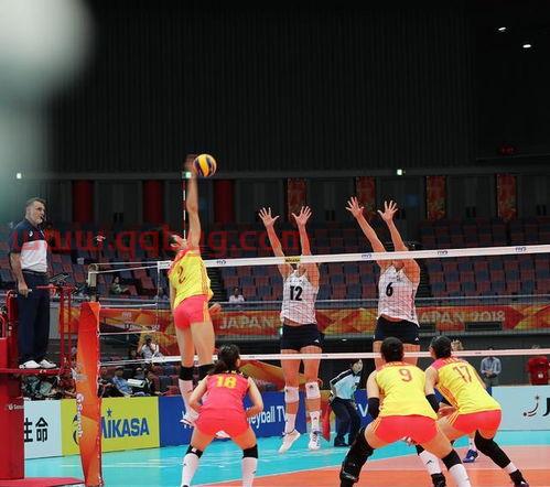 中国女排零封美国数据（中国女排美国技术统计）