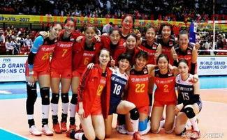 女排中国对巴西直播新浪（直播女排联赛中国对巴西）
