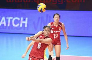 2019女排世界杯小组分组情况