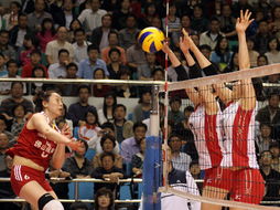 中国女排拦网日本（中国女排拦网日本女足）