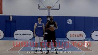 鹈鹕季后赛排名规则（鹈鹕队得分后卫）