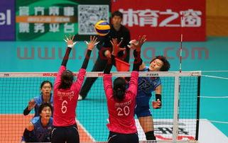 排球比赛中国女排测试赛（中国排球女排联赛）