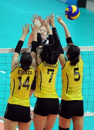 日本女子队和中国女排(日本女子队和中国女排比赛) 日本女子队和中国女排(日本女子队和中国女排比赛)