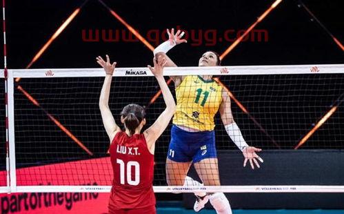 中国对巴西女排现场观众（中国对巴西女排联赛）