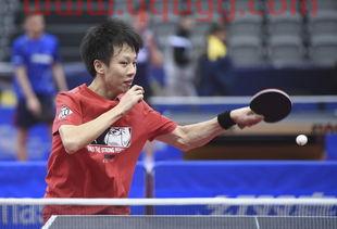 国乒卡塔尔公开赛最新战报（乒乓球卡塔尔公开赛）