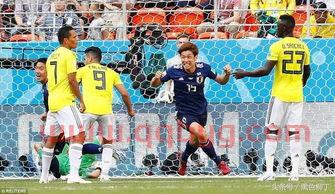 世界杯2022球队数量