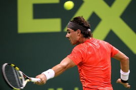 卡塔尔公开赛有多少位选手（卡塔尔公开赛有多少位选手）