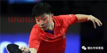 卡塔尔乒球公开赛时间（卡塔尔公开赛国乒最新消息）