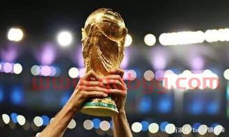 2022世界杯五大联赛怎么办
