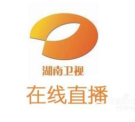 湖南卫视现场直播