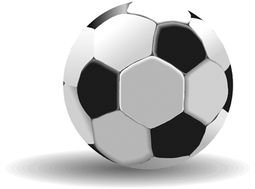 阿根廷足球队吉祥物图片(阿根廷足球队图标)