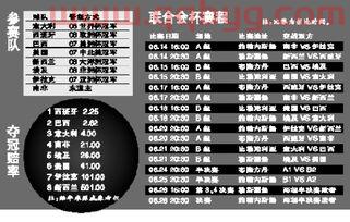 2013联合会杯赛程