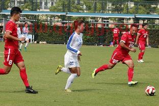 友谊赛是什么意思