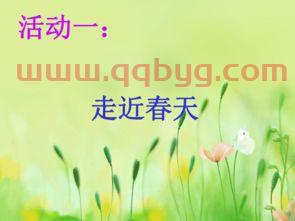 中央5套体育现场直播手机版