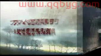中央五台节目预告