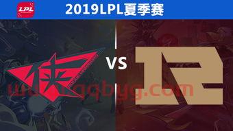 rng2019夏季赛