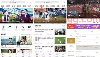 卡塔尔世界杯直播app