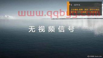 ***5节目表电视猫