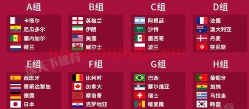2022年世界杯赛程
