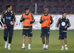 西班牙队世界杯预选赛