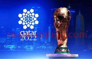2022年世界杯哪个国家举行了