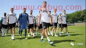 2022年世界杯巴西队夺冠概率