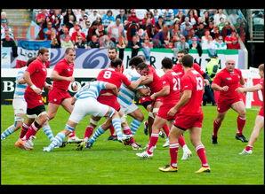 2019日本橄榄球世界杯分组