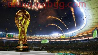 2022美国世界杯