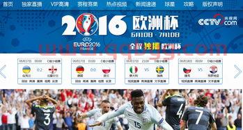 欧洲杯直播比赛***