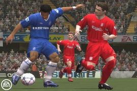 fifa世界杯