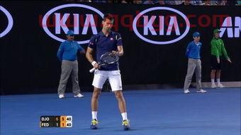 2011澳网男单决赛