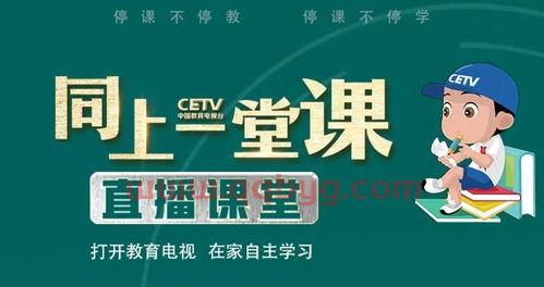 中央教育频道直播