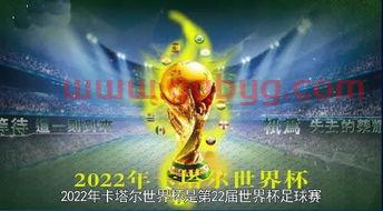 2022年的世界杯在哪里举办什么时间