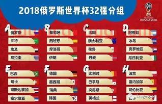 世界杯分组之后