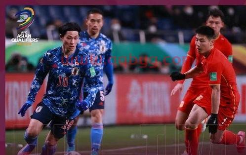 世界杯2022国足不是没希望