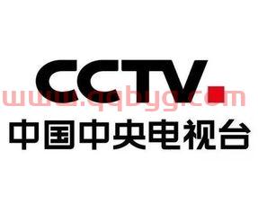 中央电视台4频道