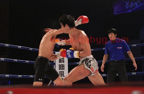 武林风中韩对抗赛
