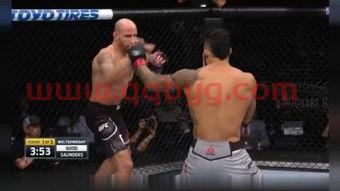 ufc无限制格斗