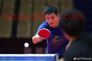 2018男乒世界杯