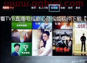 tvb直播在线看