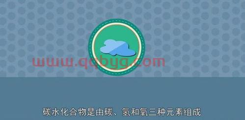 2021欧洲杯战绩排行