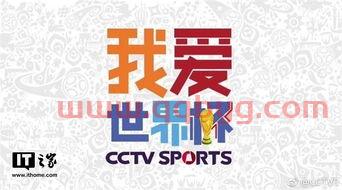 ***体育俄罗斯世界杯分组