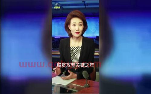 浙江卫视正在直播