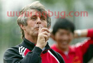 2002年中国进了世界杯